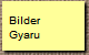  Bilder 
Gyaru