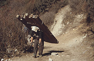 Tengboche 07 holztr�ger P 0300
