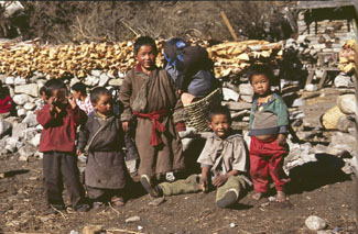 manaslu 0508 AdR24  P 0325