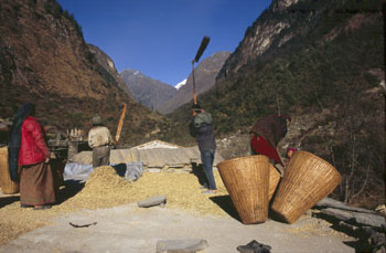 Manaslu 05 AdR 14-15 P0350