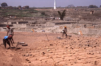 K 50 Ziegelei 38 Deckschicht abtragenx0340