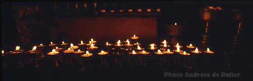 NP01-006 butterl�mpchen x500