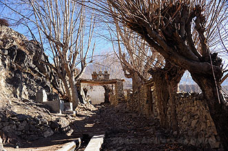 Putak Annapurna 12 h220