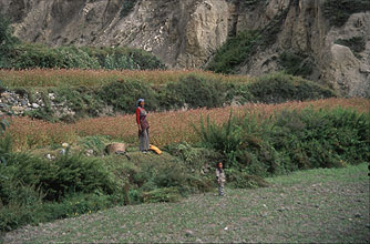 Putak Annapurna 23 h220