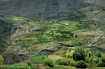 Putak Annapurna 24 h220